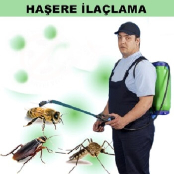 Asarcık Böcek İlaçlama